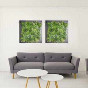 Quadro Senses - 60cm X 60cm | Sanzio